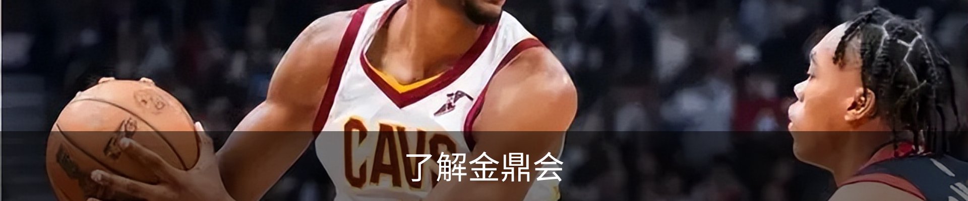 了解金鼎会